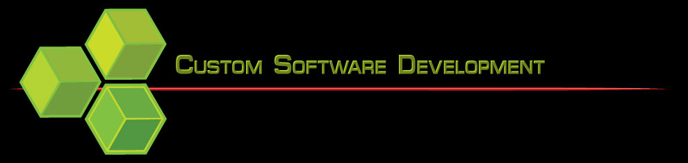 Customised Software Development by BlowWare IT Solutions Consultants